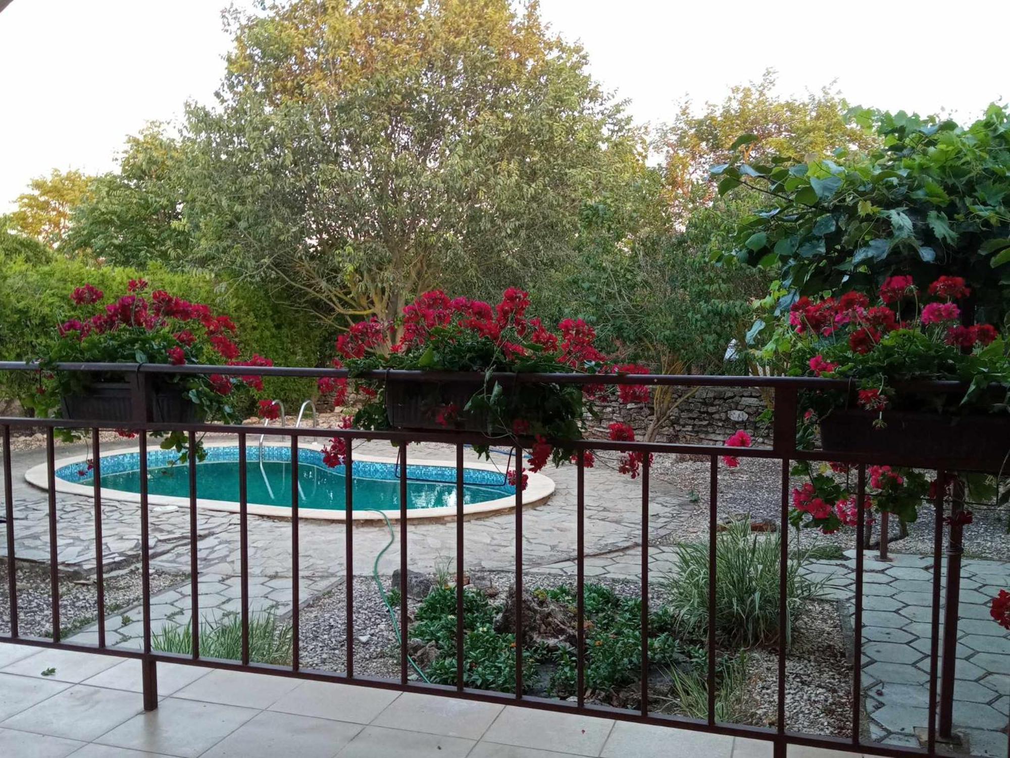 Sunny Villa Balgarevo Bagian luar foto